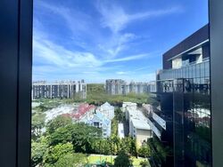 Leedon Residence (D10), Condominium #451579661
